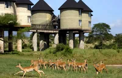 Salt Lick Lodge - Taita Hills Game Sanctuary, Kenya